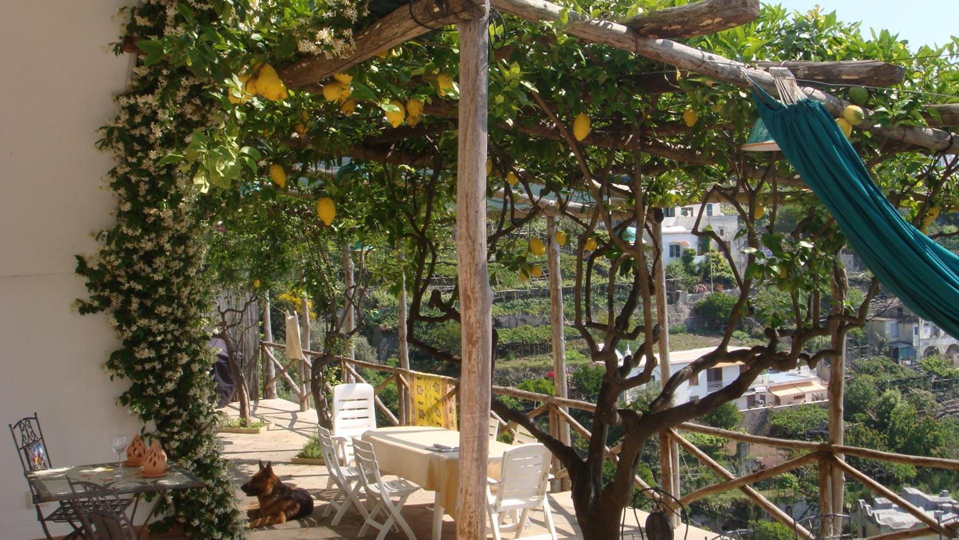 Villa Rina Αμάλφι Εξωτερικό φωτογραφία